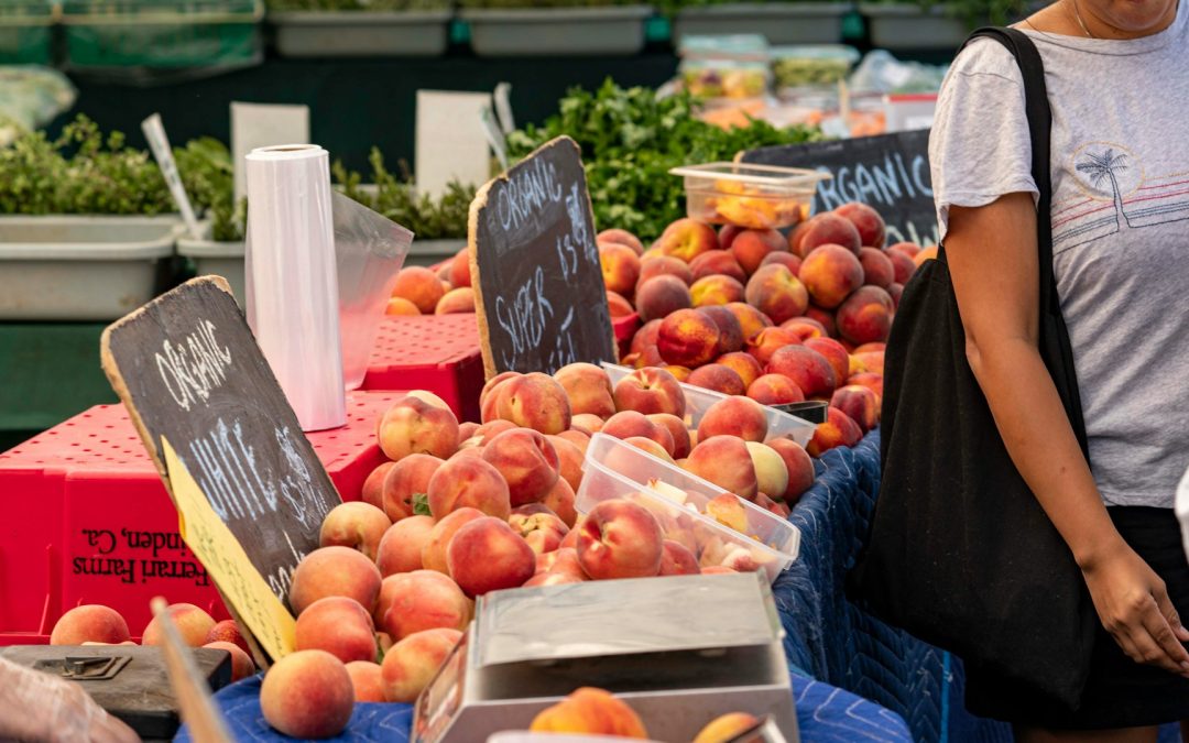 Fresh Finds: Plymouth’s Community Farmers Market Guide