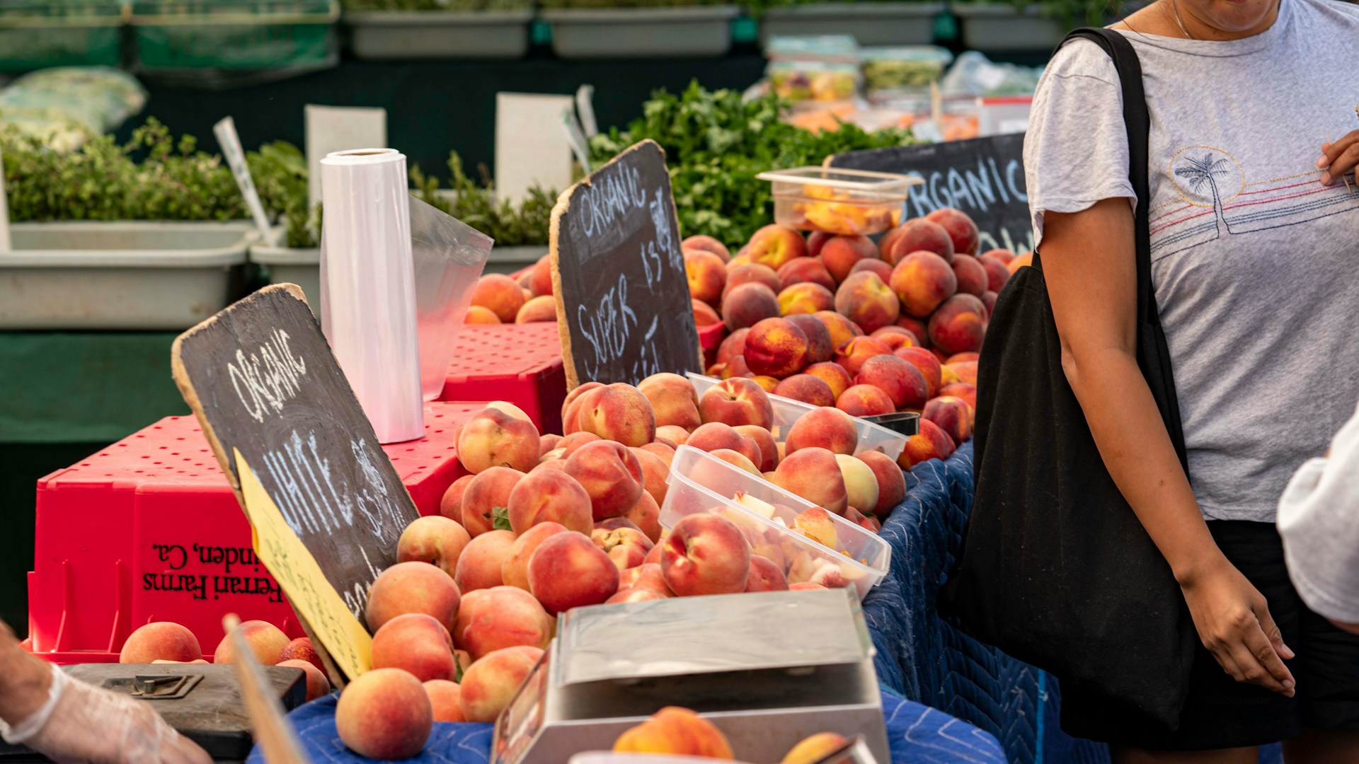 Plymouth Community Farmers Market