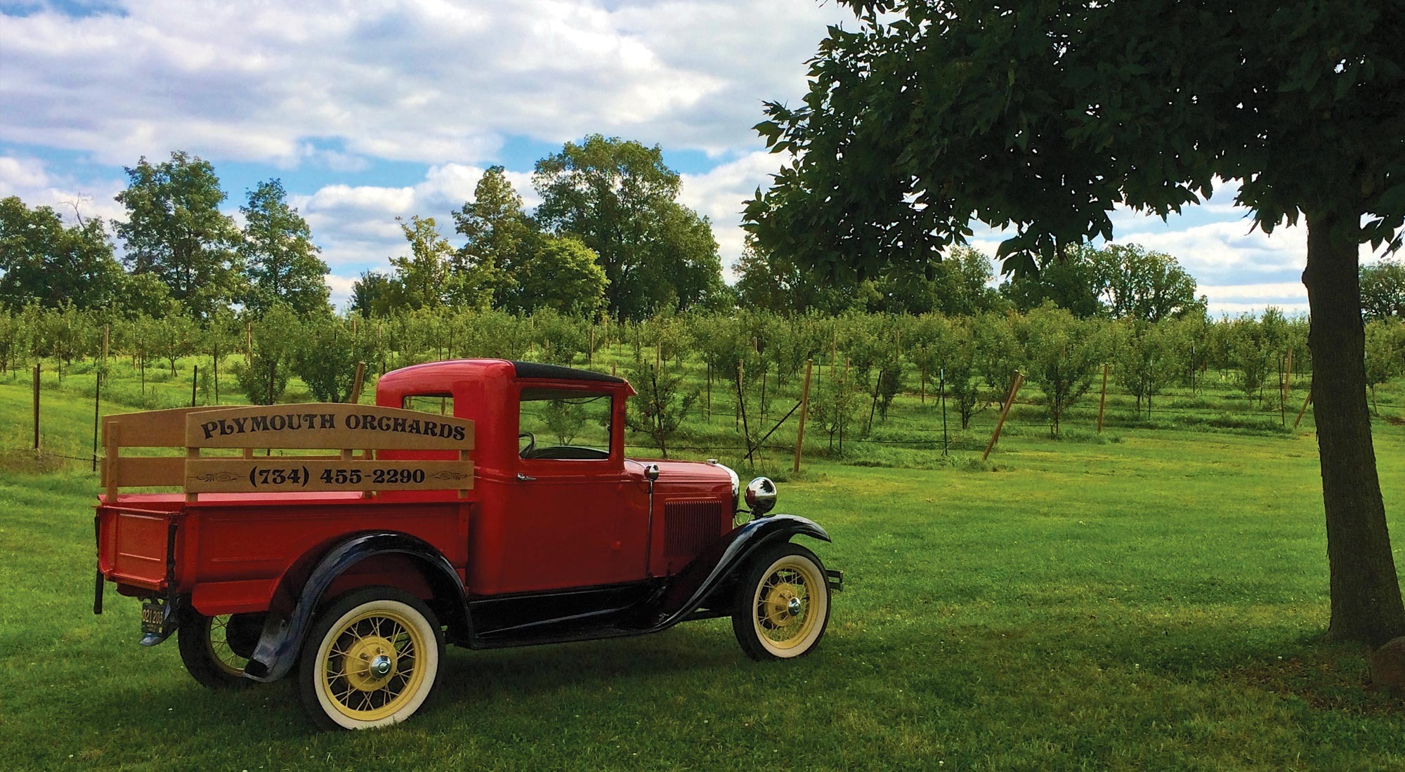 Plymouth Orchards & Cider Mill: A Slice of Autumn Heaven