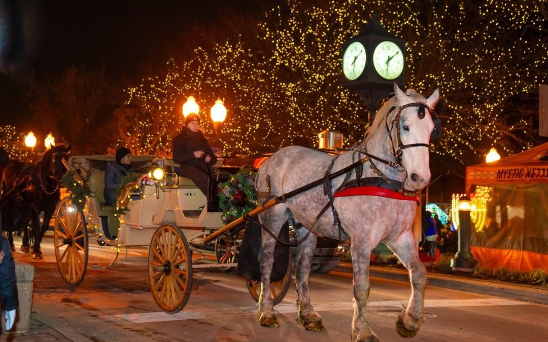 Experience Plymouth’s Christmas: Mistletoe Market Awaits!