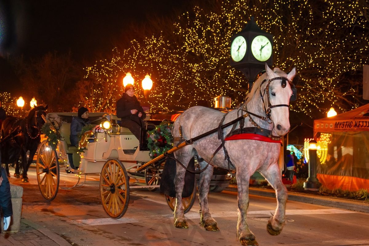 Experience Plymouth's Christmas: Mistletoe Market Awaits!