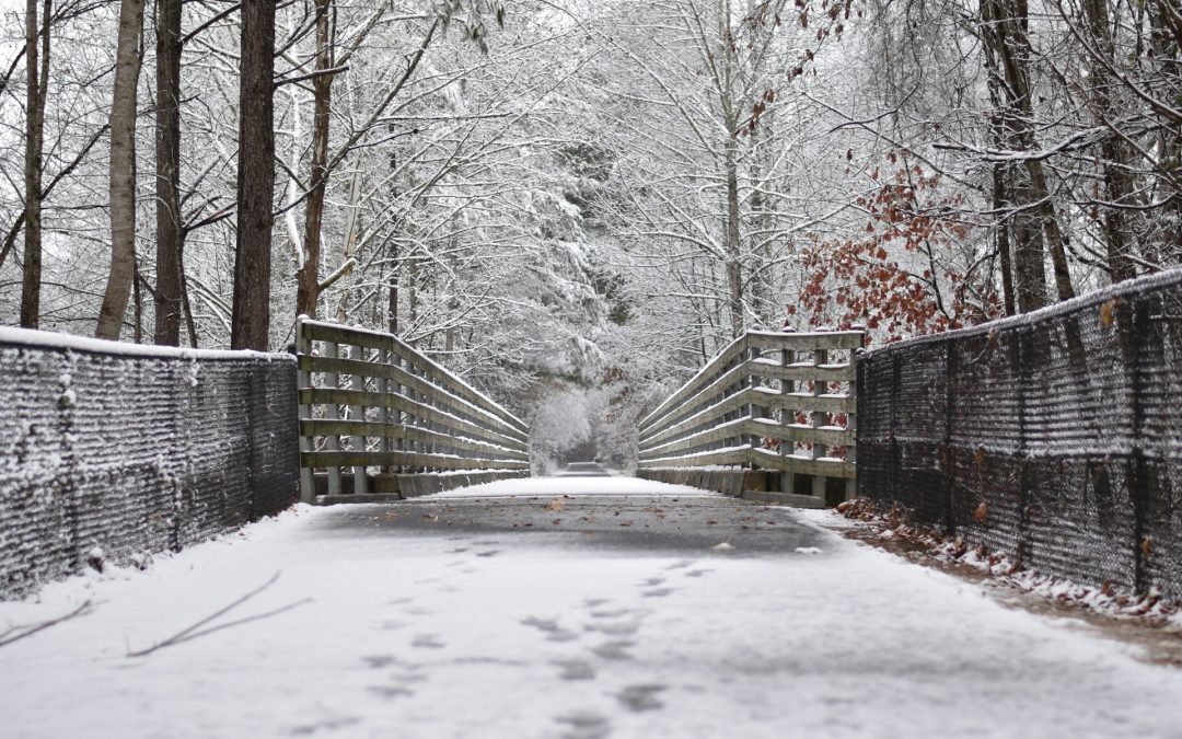 Celebrate Take A Walk Outdoors Day in Plymouth, MI This January