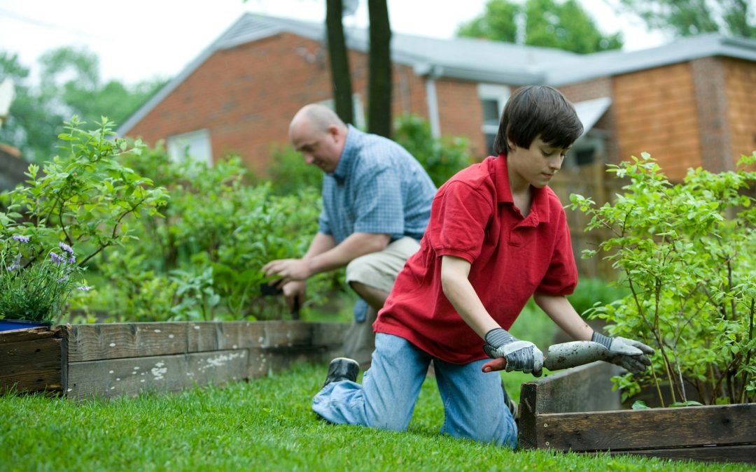 Soil, Seeds, and Sunshine: Prepping Your Michigan Spring Garden