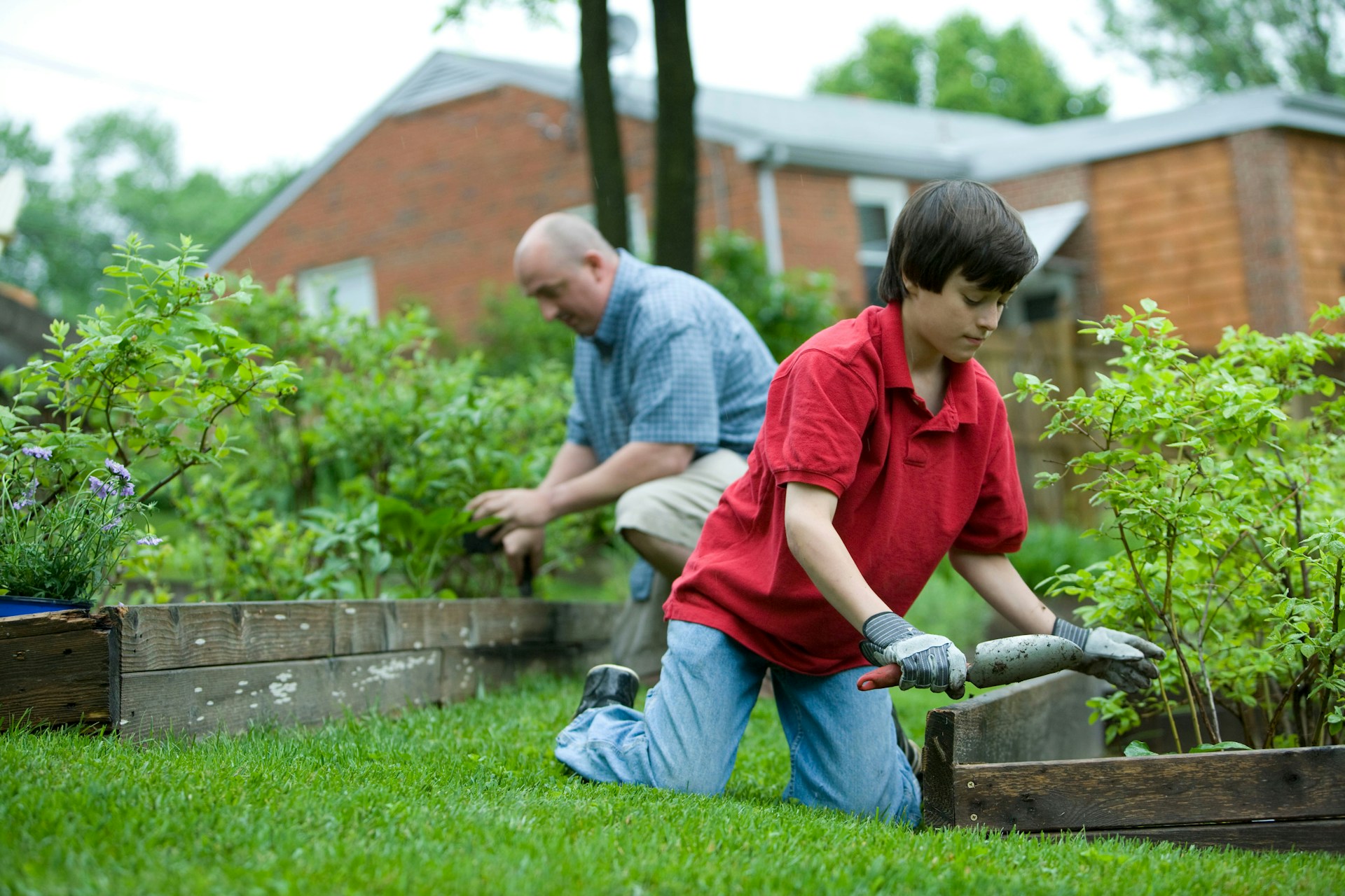 Soil, Seeds, and Sunshine: Prepping Your Michigan Spring Garden