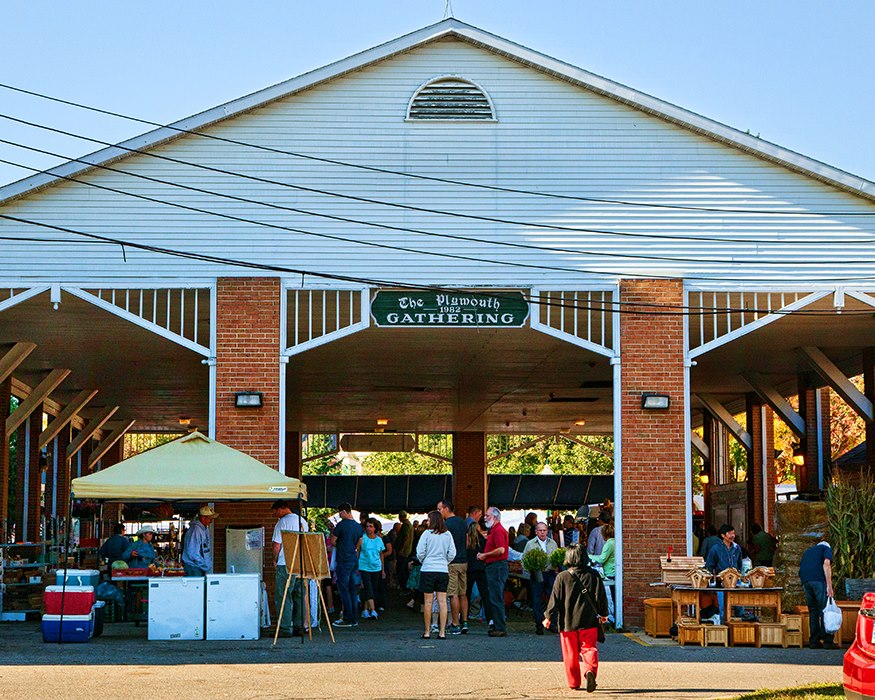The vibrant Plymouth Farmers Market at The Gathering next to Kellogg Park, open from May through October.