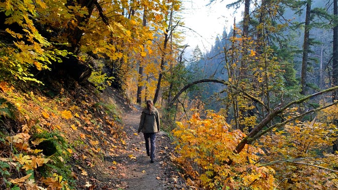 Autumn scene near Plymouth highlighting trails and natural settings perfect for leaf-peeping.